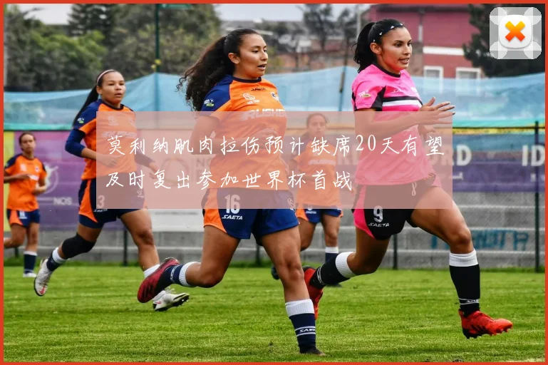 莫利纳肌肉拉伤预计缺席20天有望及时复出参加世界杯首战