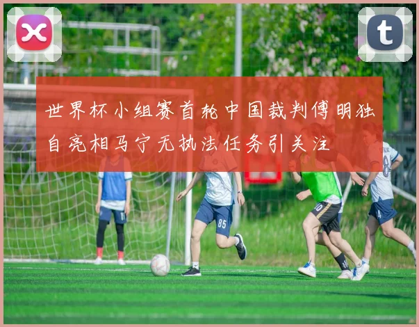 世界杯小组赛首轮中国裁判傅明独自亮相马宁无执法任务引关注